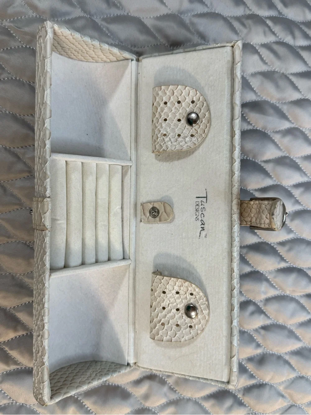 Cream Snakeskin textured Jewelry case with Silver Buckle